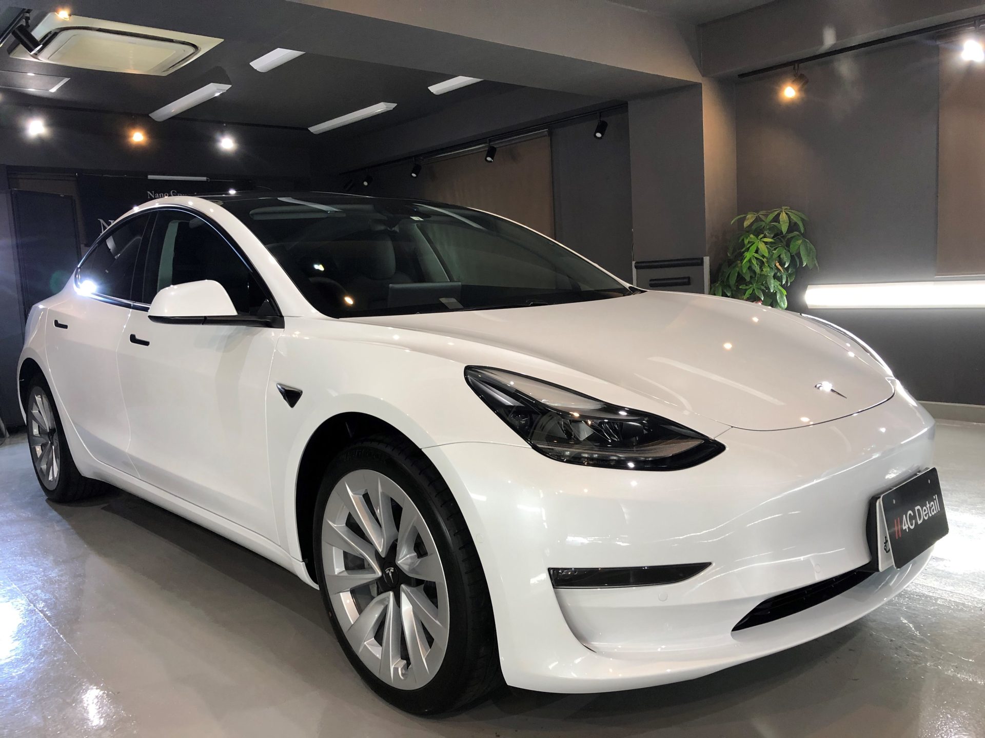 Tesla モデル3 ボディコーティング　カーフィルム　専門店